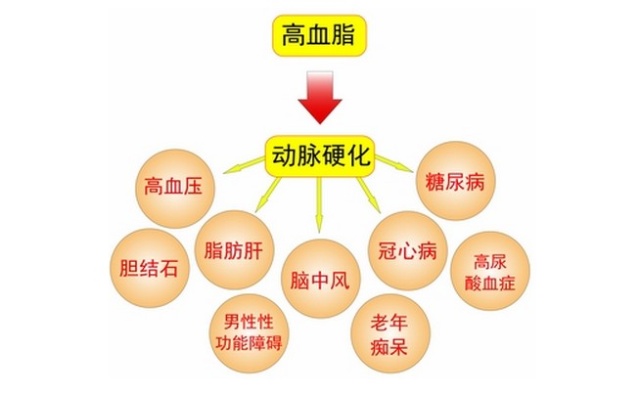 高血脂5.jpg
