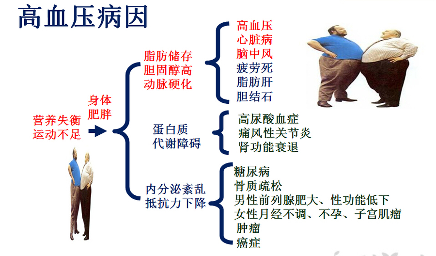高血压病因.jpg
