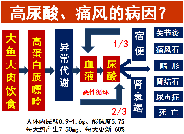 痛风病因.jpg